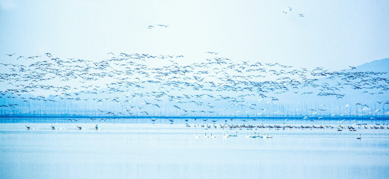 Wu Baoguo - Integration-into-the-Yangtze-River-Delta-6